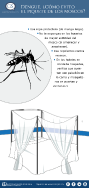 Infografía, ¿como evito el piquete de los moscos?