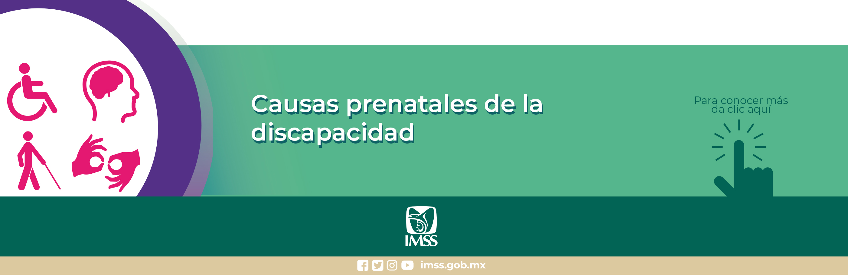 Avisos