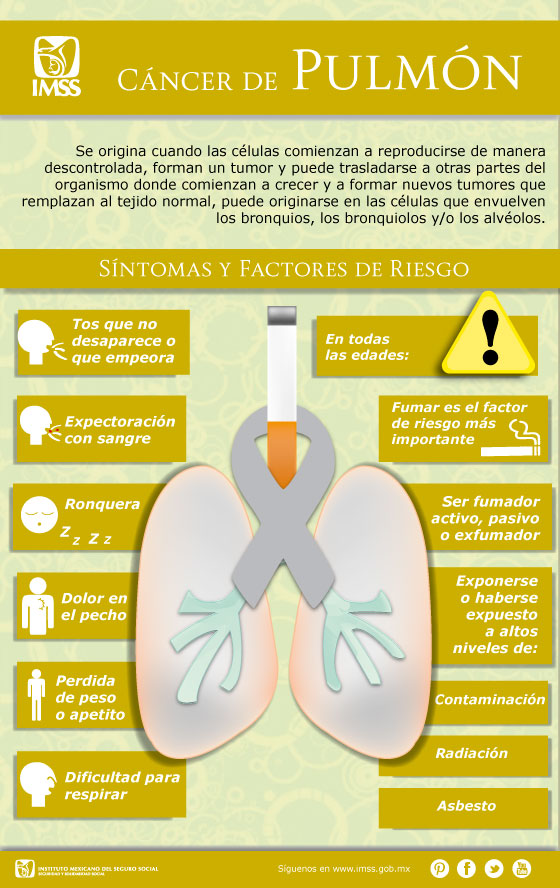 The content discusses lung cancer, detailing its origins, symptoms, and risk factors, including the significant risk posed by smoking.