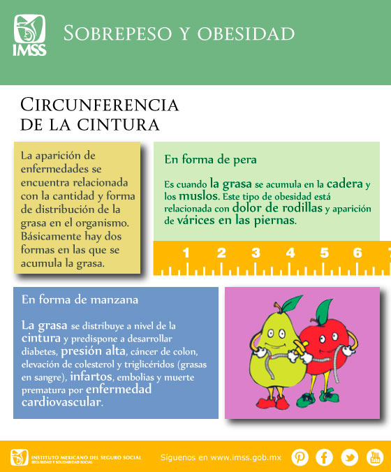 Circunferencia de la Cintura