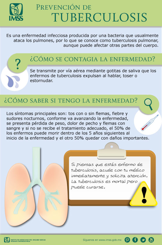 infografía prevención de tuberculosis