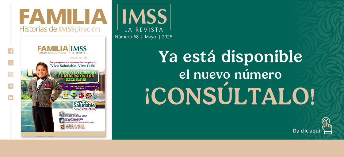 Revista Familia IMSS