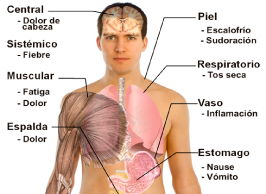 Paludismo o Malaria Imagen con síntomas del paludismo o malaria