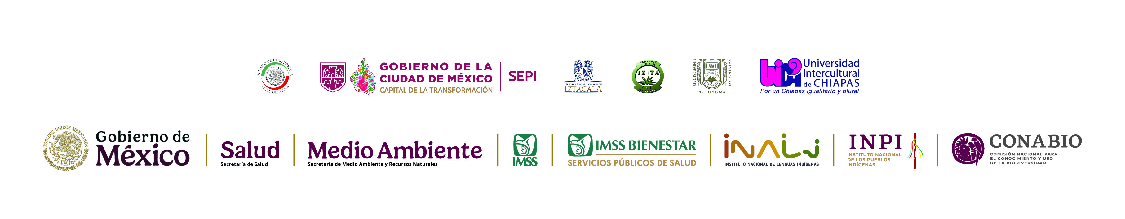 Identidad institucional del evento: Gobierno de México, Salud, IMSS, IMSS Bienestar, INPI, INALI y CONABIO